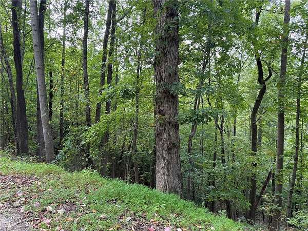 1.86 Acres of Residential Land for Sale in Boomer, North Carolina