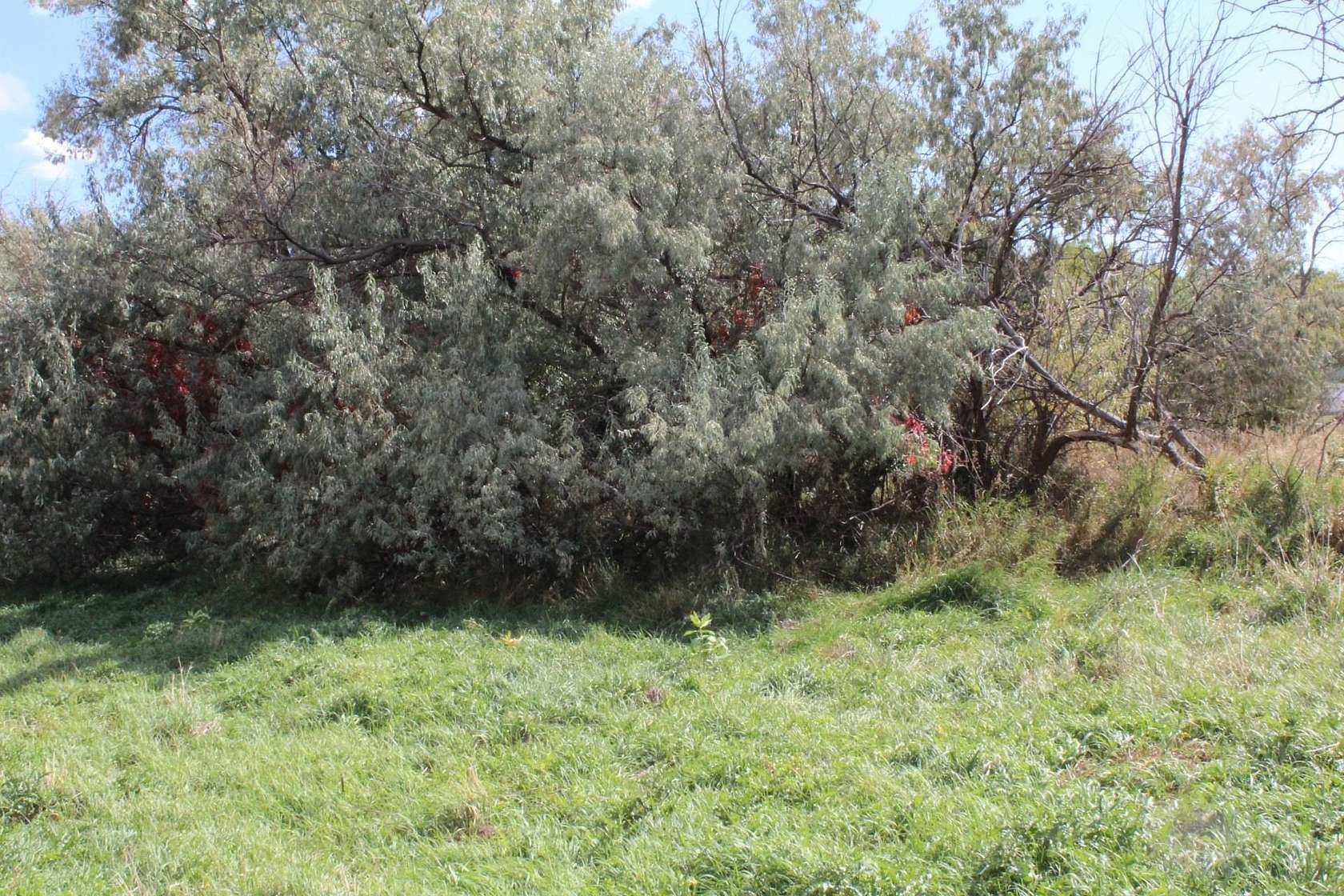 0.17 Acres of Residential Land for Sale in Newcastle, Wyoming