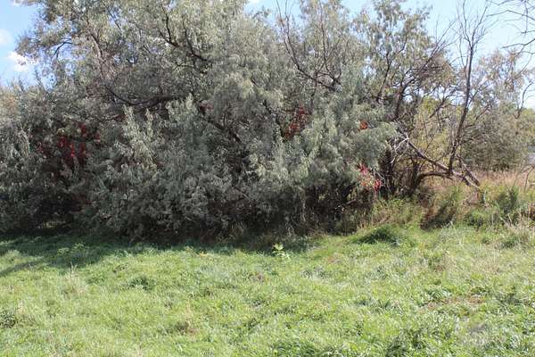 0.17 Acres of Residential Land for Sale in Newcastle, Wyoming