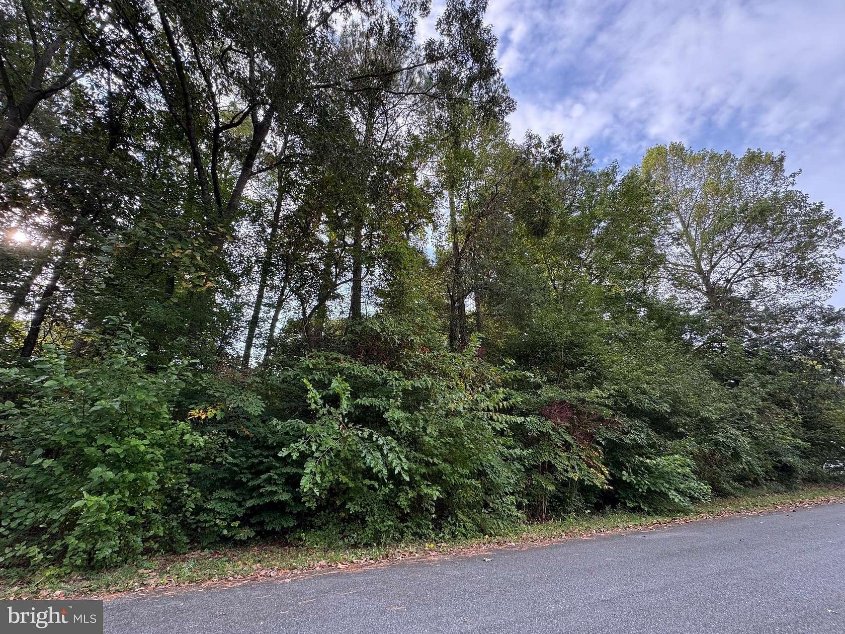 1.45 Acres of Residential Land for Sale in Laurel, Delaware