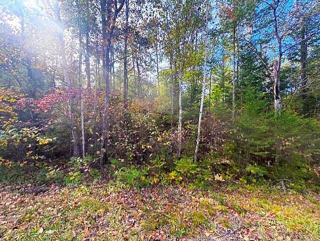 0.32 Acres of Residential Land for Sale in Presque Isle, Michigan