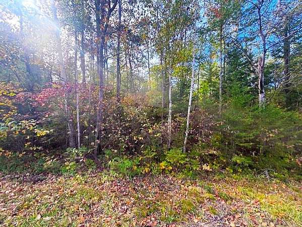 0.32 Acres of Residential Land for Sale in Presque Isle, Michigan