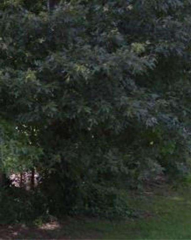 0.25 Acres of Residential Land for Sale in Hampton, Georgia