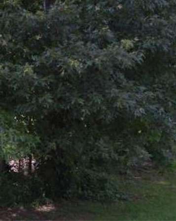 0.25 Acres of Residential Land for Sale in Hampton, Georgia