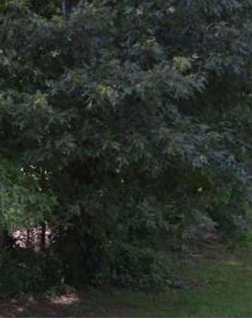 0.25 Acres of Residential Land for Sale in Hampton, Georgia