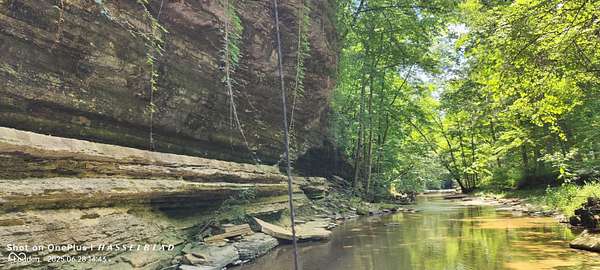 201 Acres of Land for Sale in Westport, Indiana