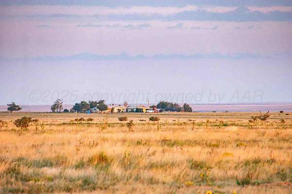 3,434 Acres of Land for Sale in Nara Visa, New Mexico