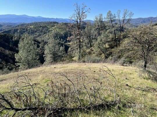 40 Acres of Agricultural Land for Sale in Ono, California