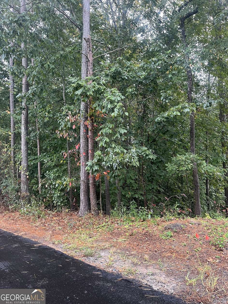 0.11 Acres of Land for Sale in Gainesville, Georgia