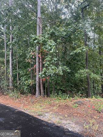 0.11 Acres of Land for Sale in Gainesville, Georgia
