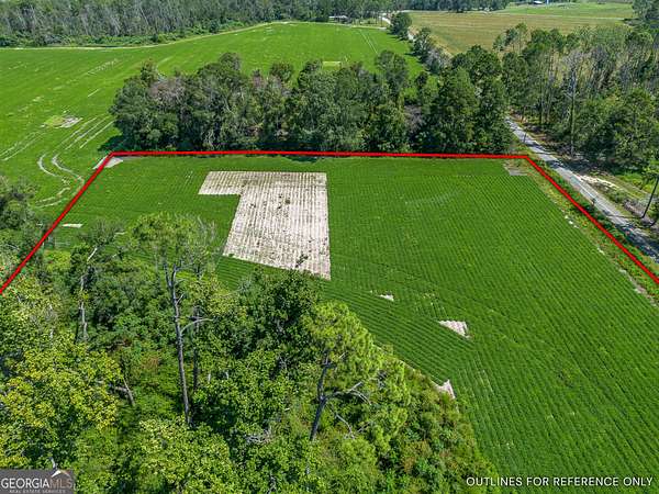 20 Acres of Agricultural Land for Sale in Hazlehurst, Georgia
