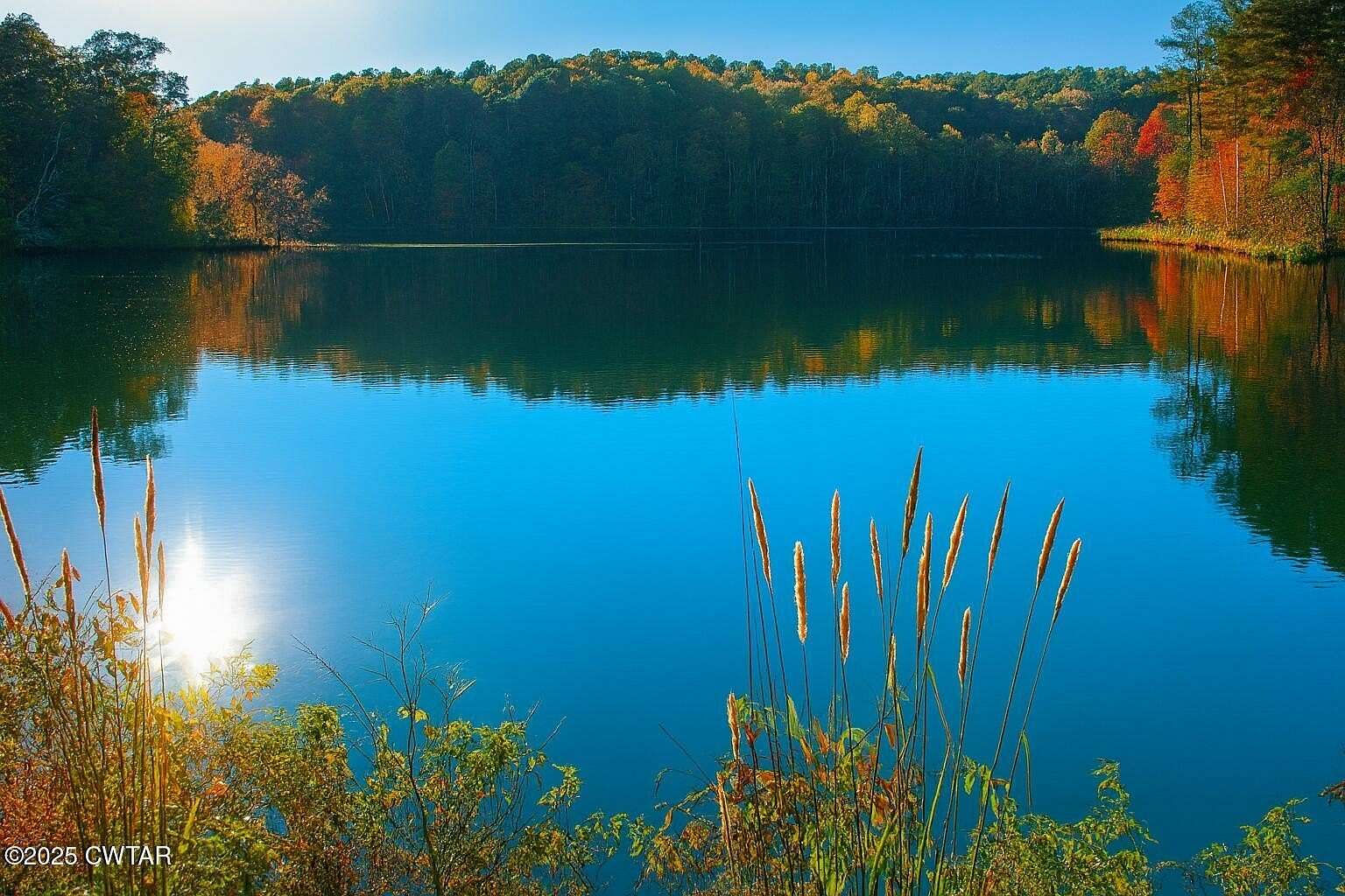 295 Acres of Recreational Land for Sale in Middleton, Tennessee