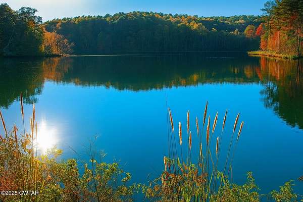 295 Acres of Recreational Land for Sale in Middleton, Tennessee