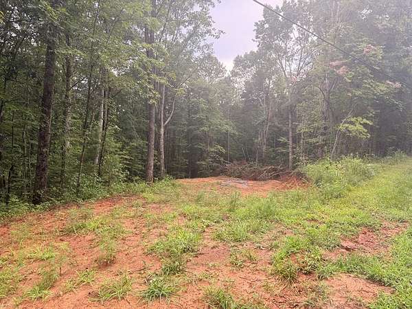 1.82 Acres of Land for Sale in Ellijay, Georgia