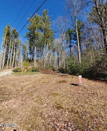 5 Acres of Residential Land for Sale in Butler, Tennessee