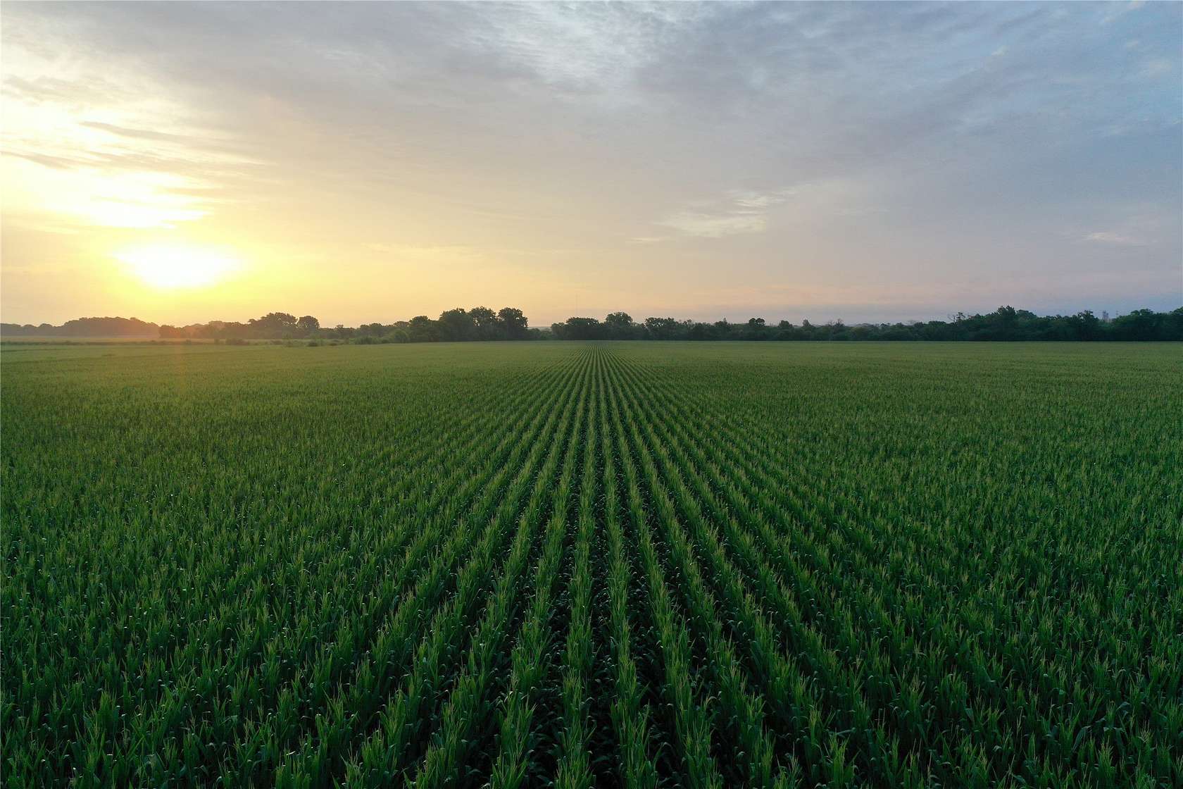 583 Acres of Agricultural Land for Auction in Shenandoah, Iowa