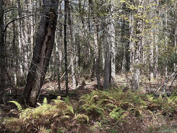 5.15 Acres of Residential Land for Sale in Bethel, New York