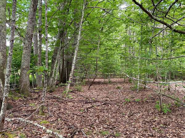 33.8 Acres of Recreational & Residential Land for Sale in Gorham, Maine