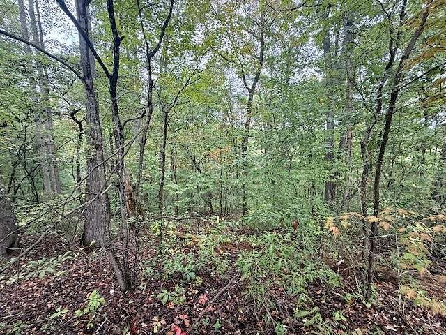 0.32 Acres of Residential Land for Sale in Smithville, Tennessee