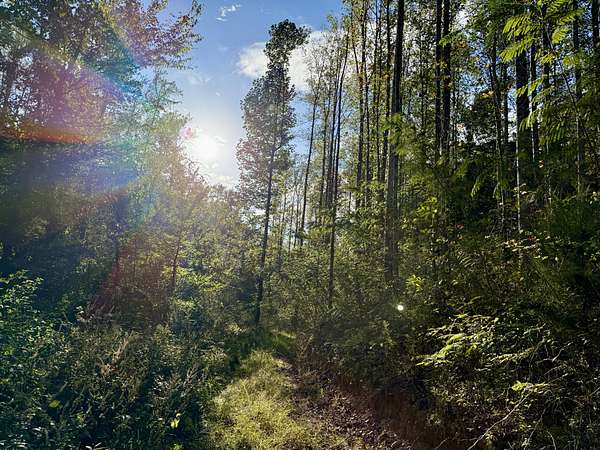 48.2 Acres of Recreational Land for Sale in Lynchburg, Tennessee