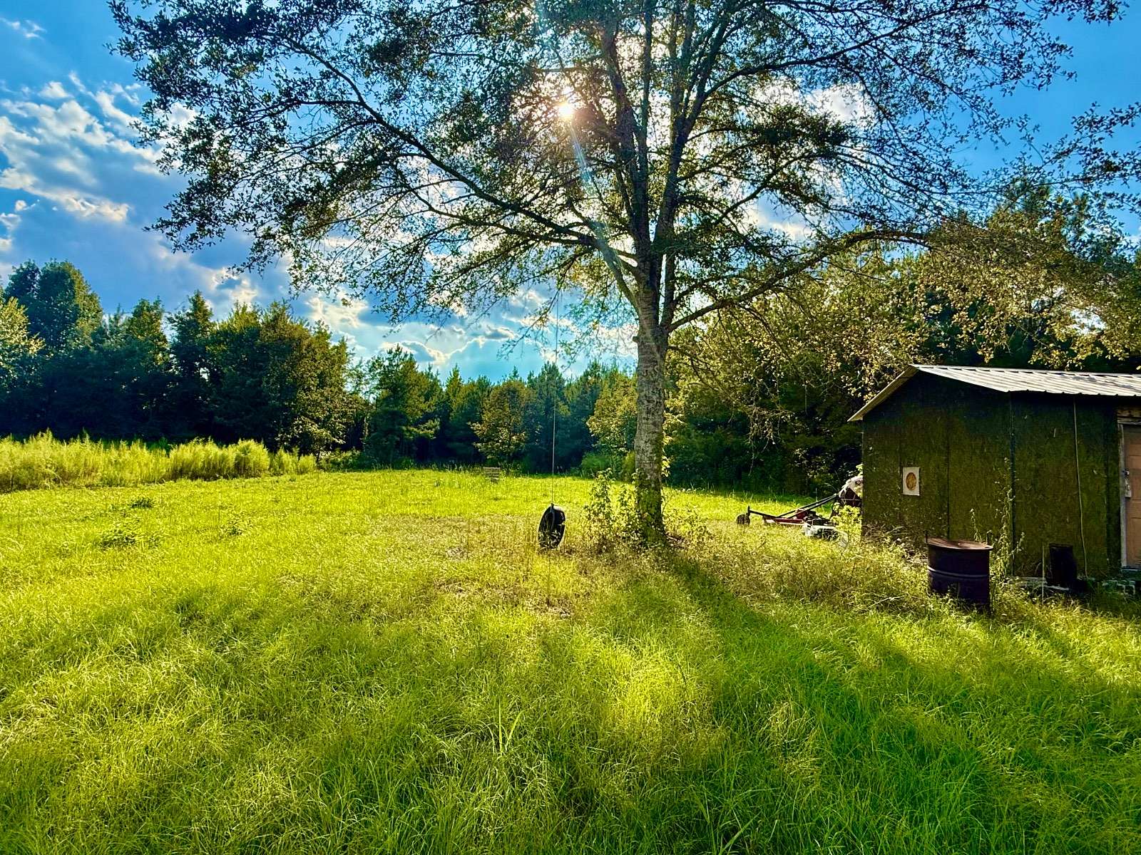 103 Acres of Recreational Land for Sale in Pine Hill, Alabama