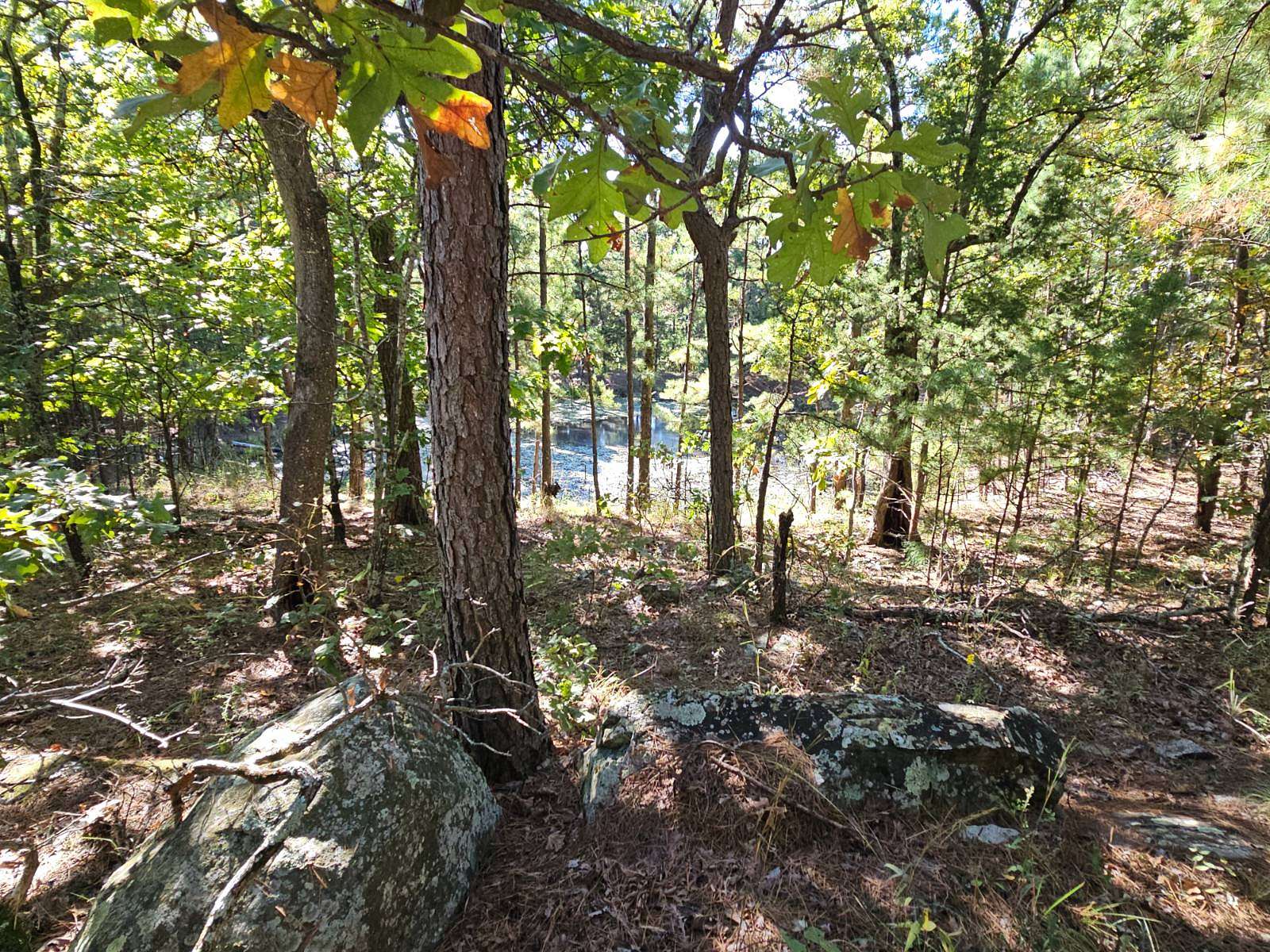 20 Acres of Land for Sale in Talihina, Oklahoma