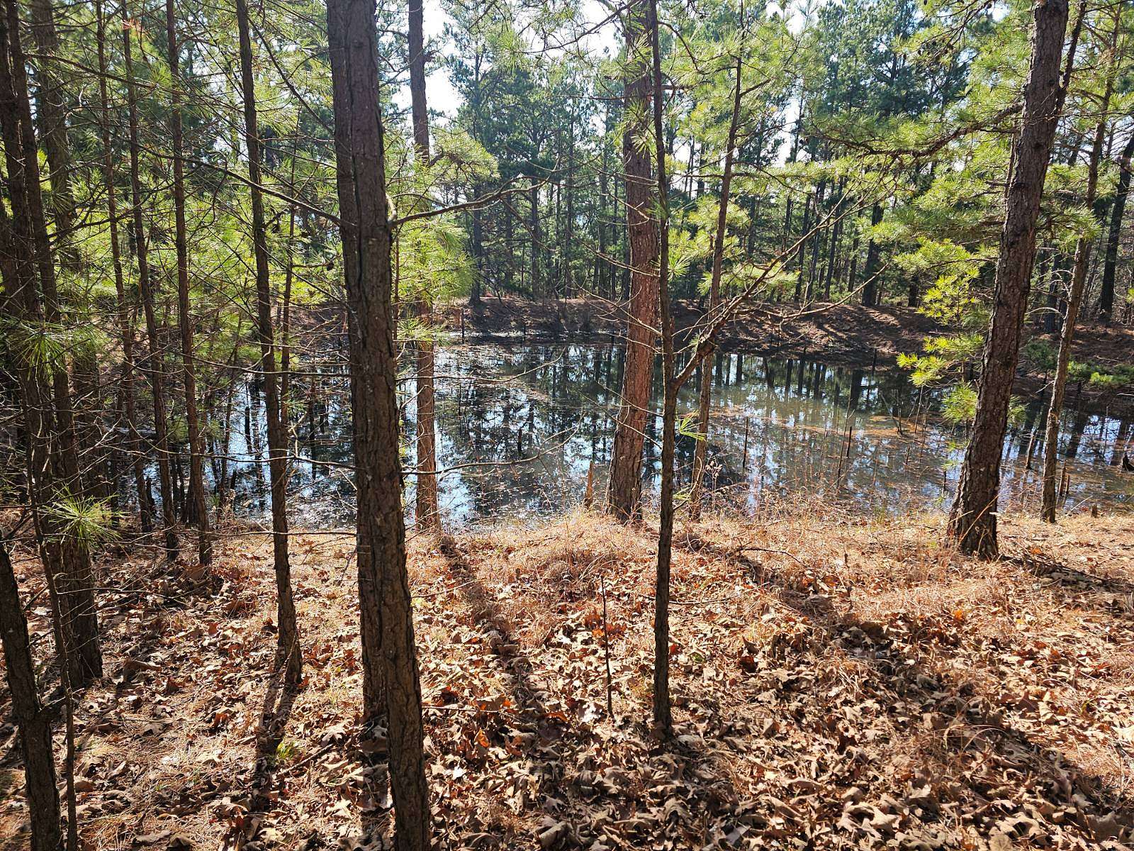 20 Acres of Land for Sale in Talihina, Oklahoma