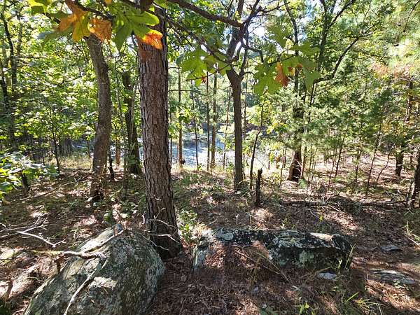 20 Acres of Land for Sale in Talihina, Oklahoma