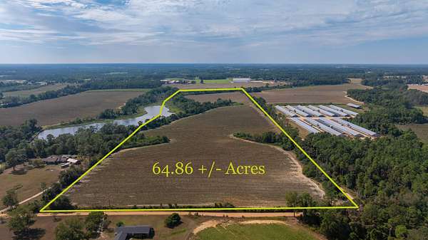 64.9 Acres of Land for Sale in Norman Park, Georgia