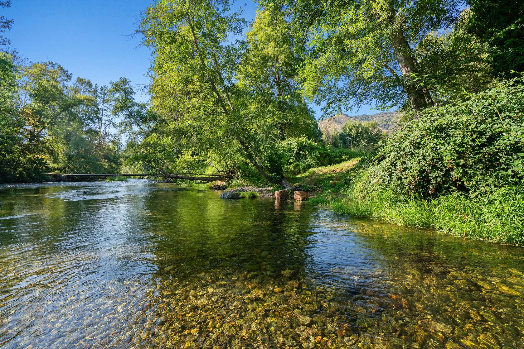 4.55 Acres of Improved Mixed-Use Land for Sale in Jacksonville, Oregon