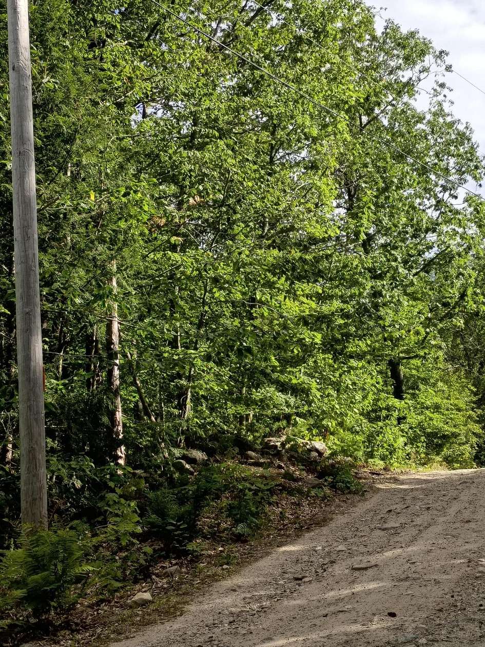 12.8 Acres of Land for Sale in Parsonsfield, Maine