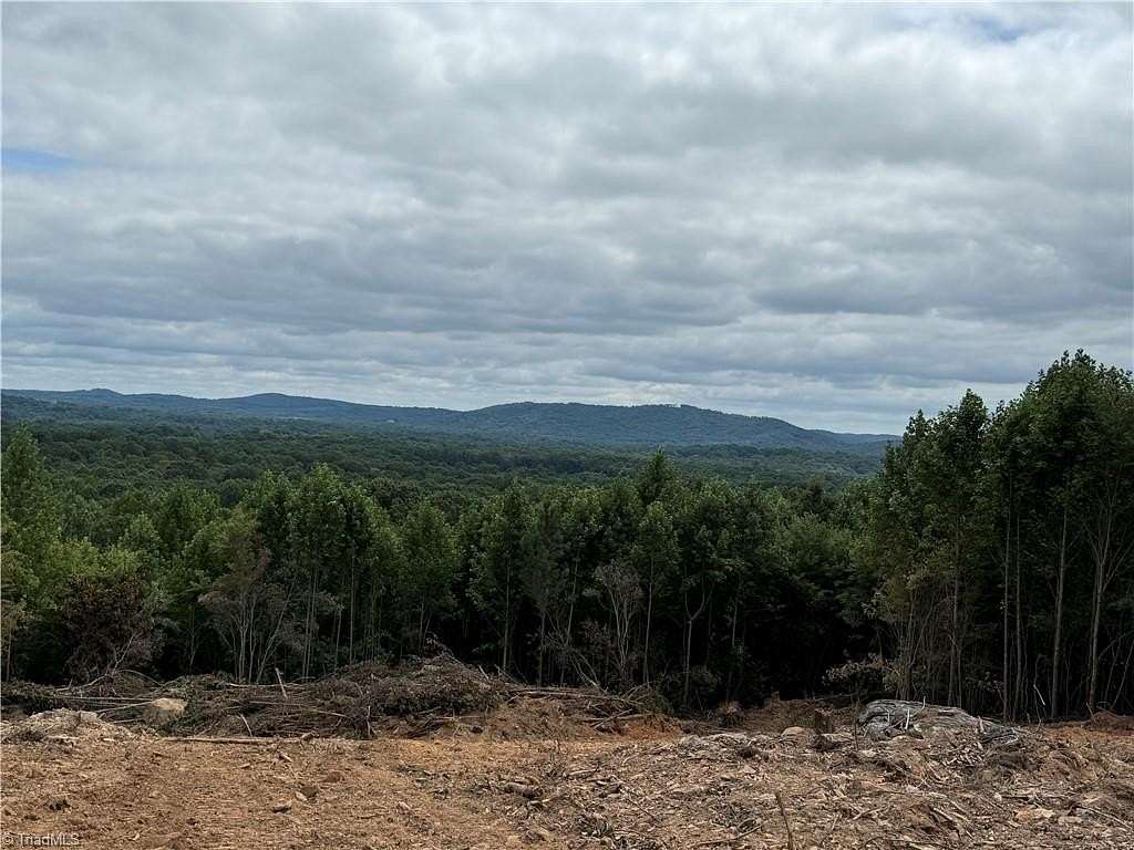 99.6 Acres of Recreational & Residential Land for Sale in Sophia, North Carolina