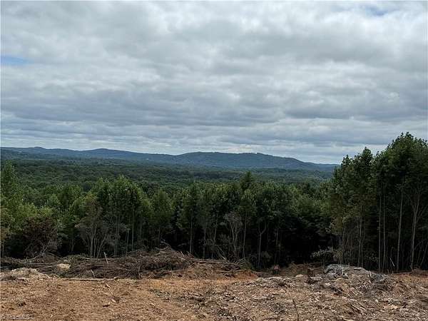 99.6 Acres of Recreational & Residential Land for Sale in Sophia, North Carolina