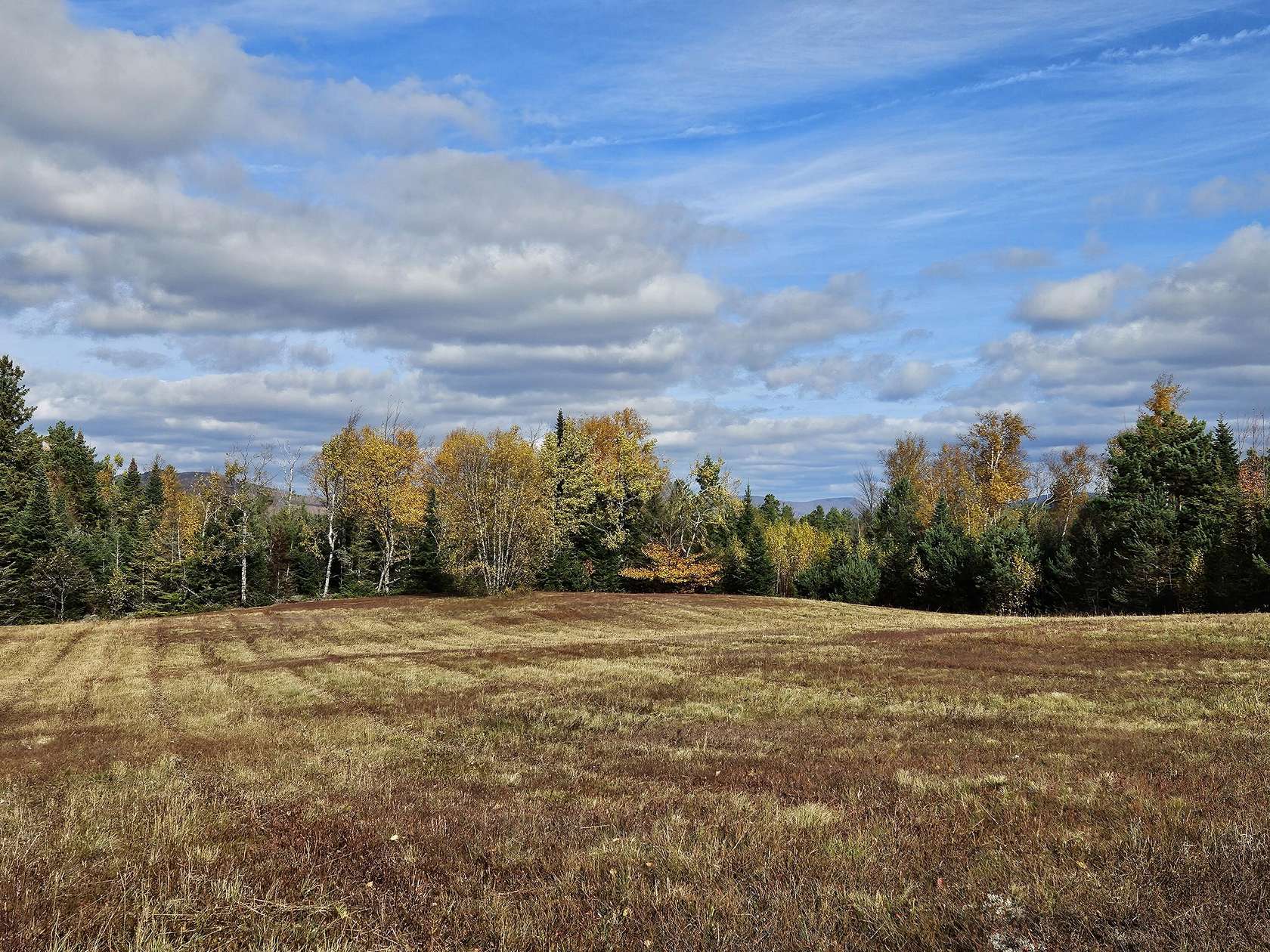 46 Acres of Agricultural Land for Sale in Merrillsville, New York