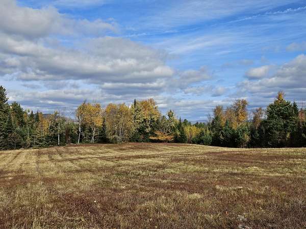 46 Acres of Agricultural Land for Sale in Merrillsville, New York