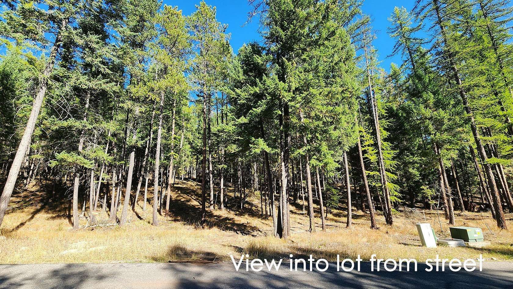 1.28 Acres of Residential Land for Sale in Whitefish, Montana