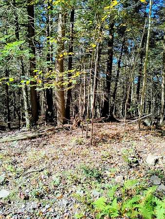 3 Acres of Land for Sale in Dushore, Pennsylvania