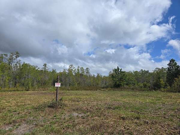 66.1 Acres of Recreational Land for Sale in Naylor, Georgia