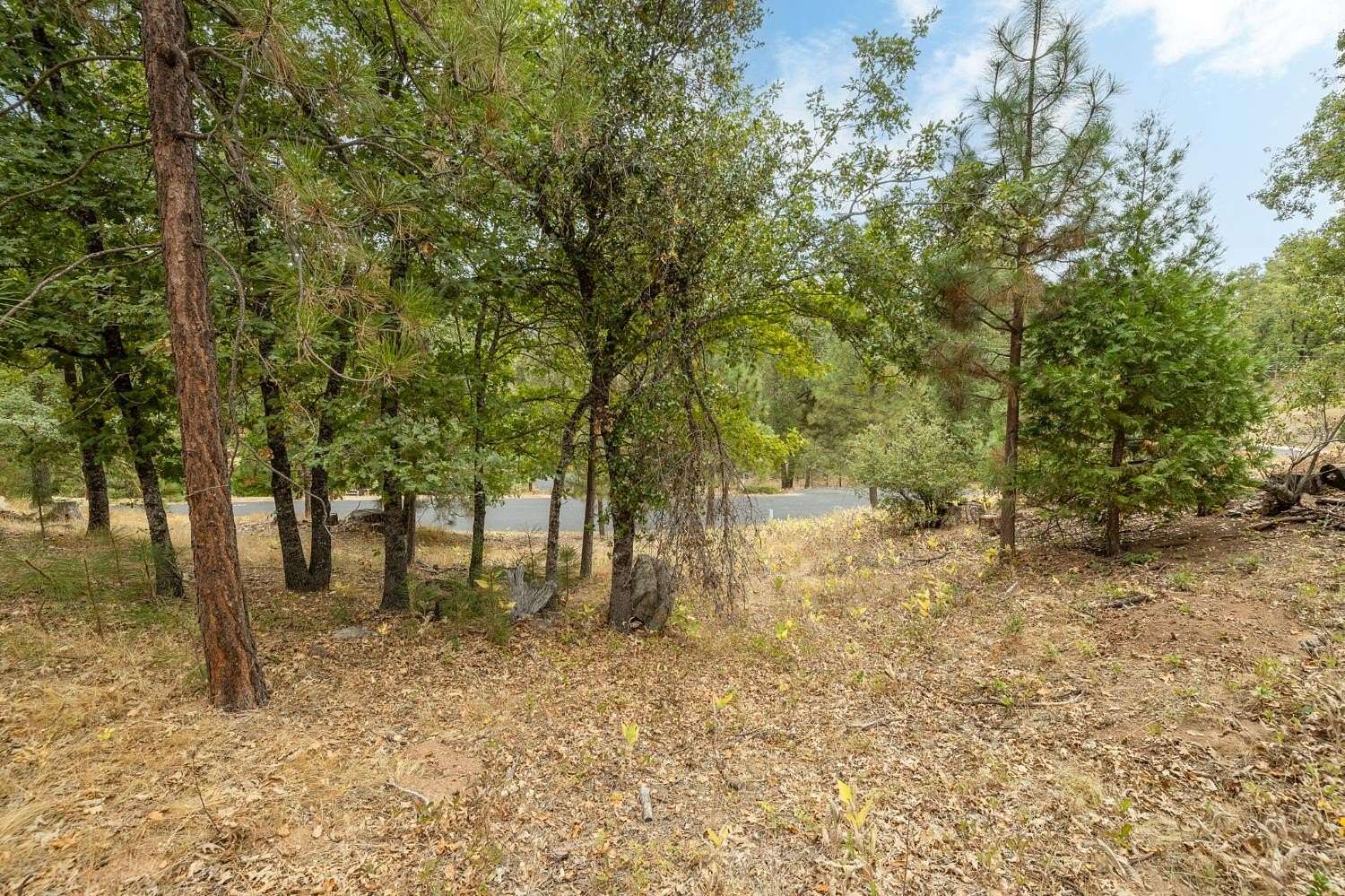 3 Acres of Residential Land for Sale in North Fork, California
