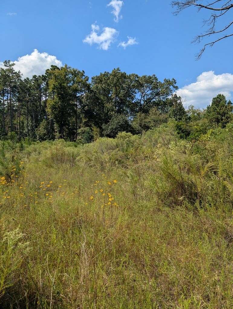 65.3 Acres of Land for Sale in Marshall, Texas