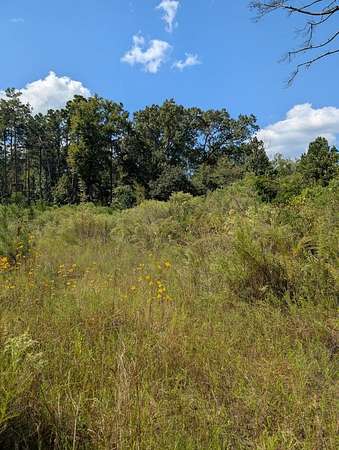 65.3 Acres of Land for Sale in Marshall, Texas