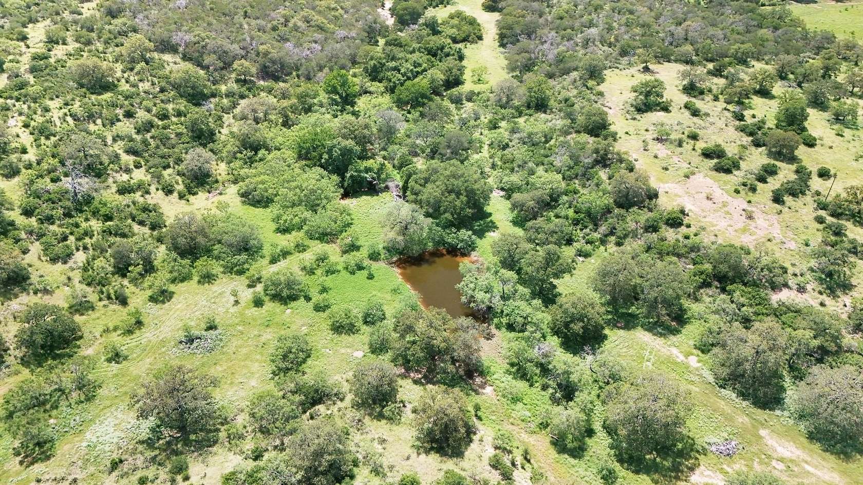 61.9 Acres of Recreational Land & Farm for Sale in Burnet, Texas