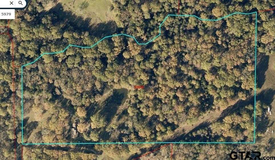 19.1 Acres of Recreational Land for Sale in Emory, Texas