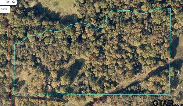 19.1 Acres of Recreational Land for Sale in Emory, Texas