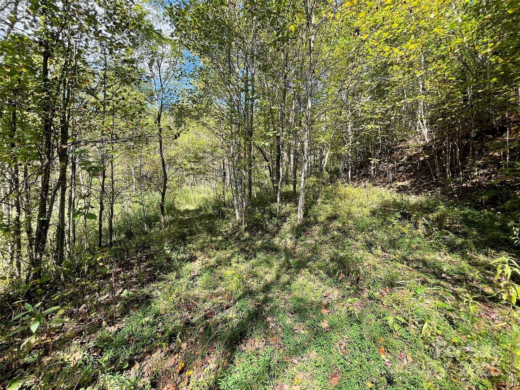 5.2 Acres of Land for Sale in Waynesville, North Carolina