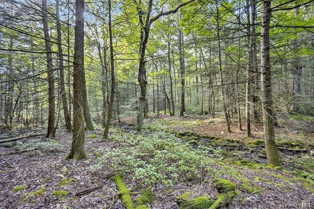 5 Acres of Residential Land for Sale in Kerhonkson, New York