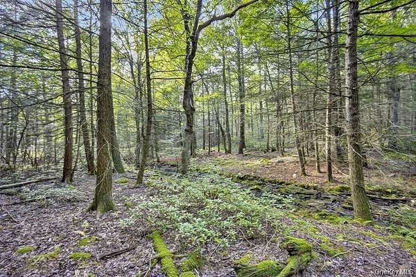 5 Acres of Residential Land for Sale in Kerhonkson, New York
