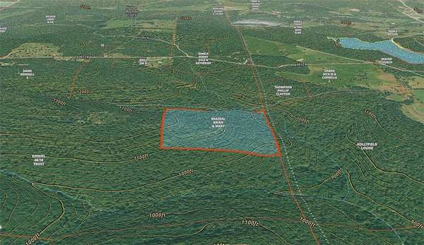 40 Acres of Recreational Land for Sale in Bunch, Oklahoma