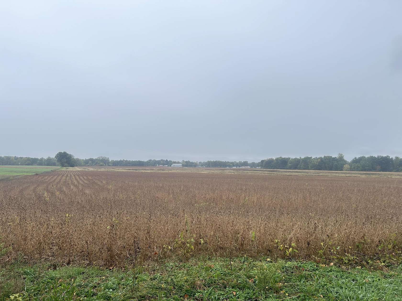 1 Acre of Residential Land for Sale in Colon, Michigan