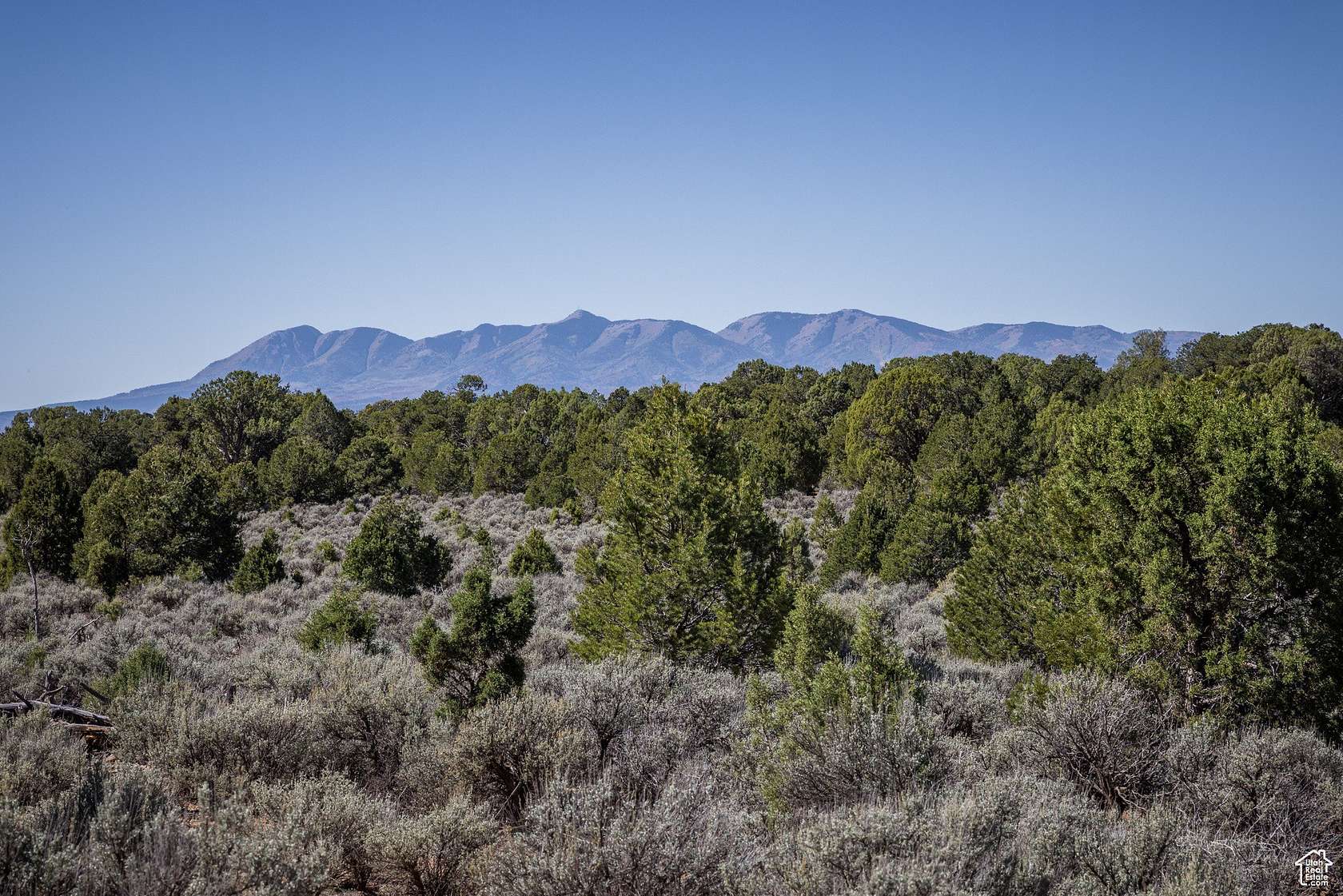 80 Acres of Agricultural Land for Sale in Monticello, Utah